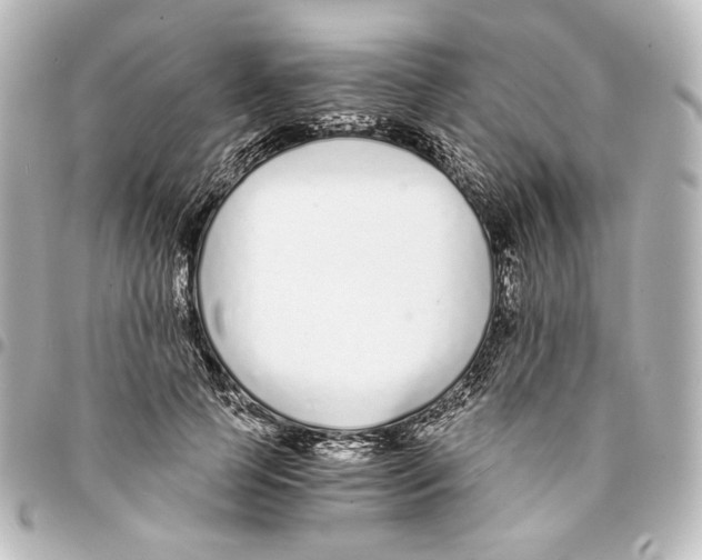 X0000094970745200712271742