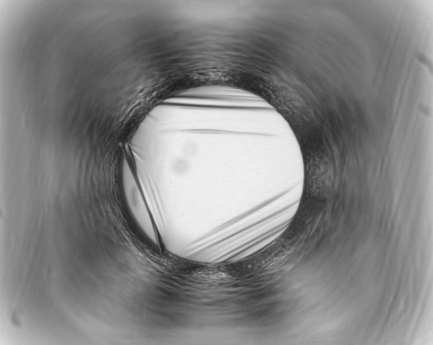 X0000094970747200712271742