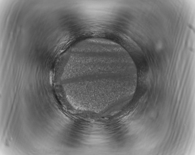 X0000094970748200712271742