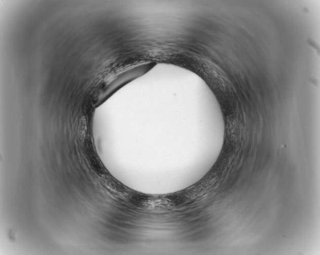 X0000094970752200712271742
