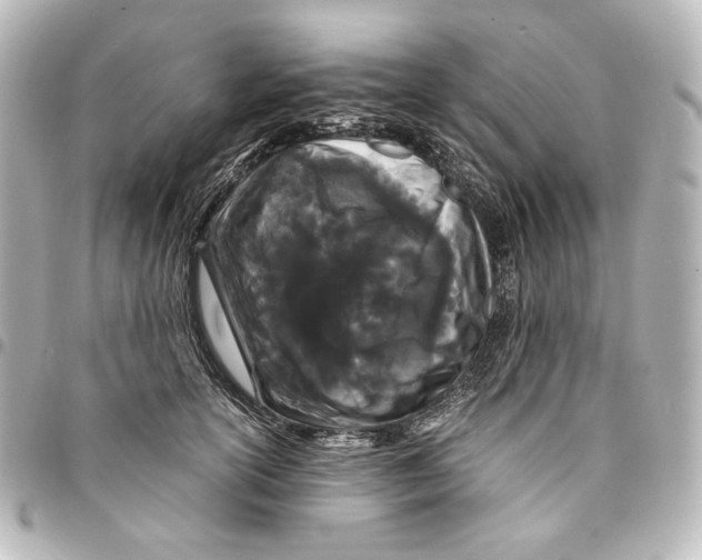 X0000094970754200712271742