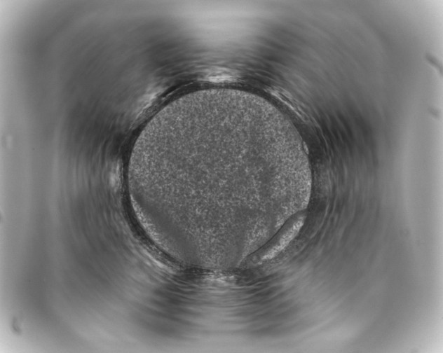 X0000094970760200712271742