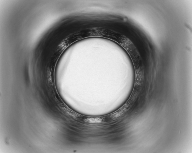 X0000094970765200712271742
