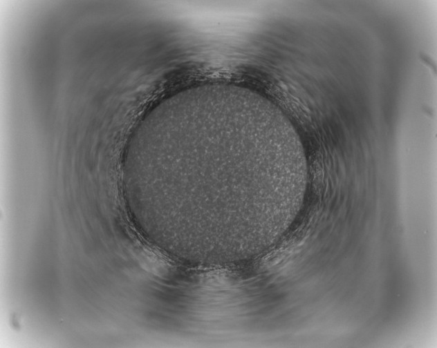 X0000094970769200712271742