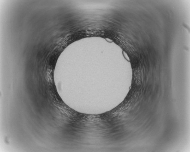 X0000094970770200712271742