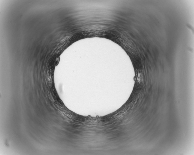 X0000094970771200712271742