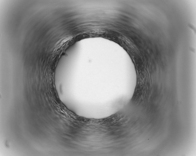 X0000094970773200712271742