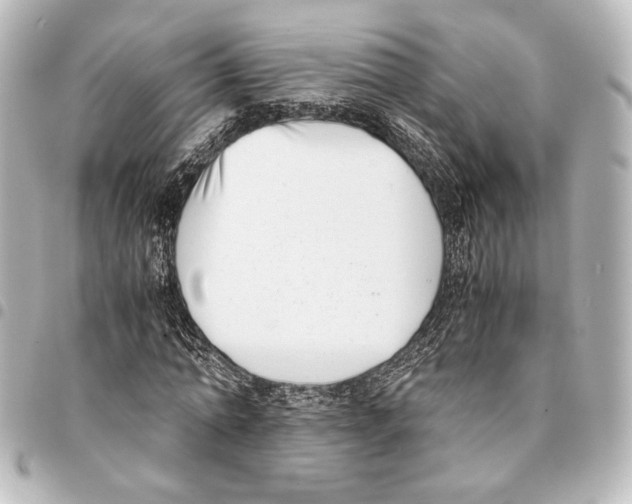 X0000094970774200712271742