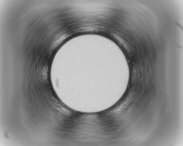 X0000094970778200712271742