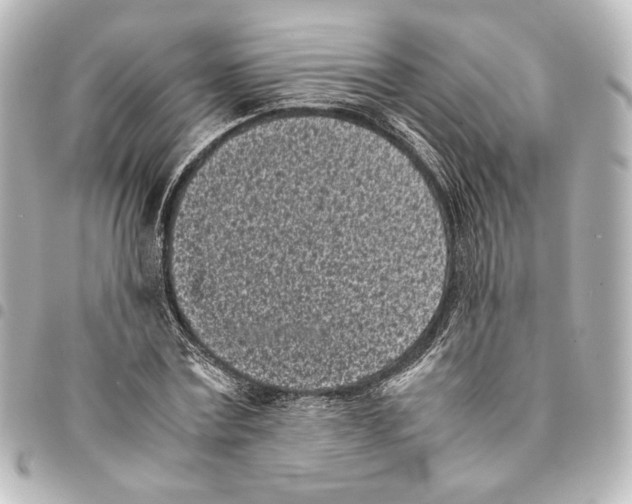 X0000094970779200712271742