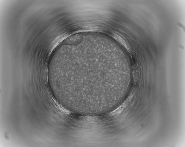 X0000094970781200712271742