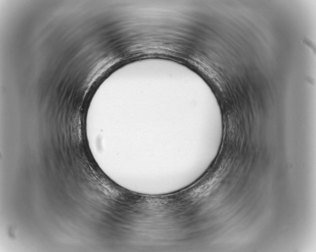 X0000094970782200712271742
