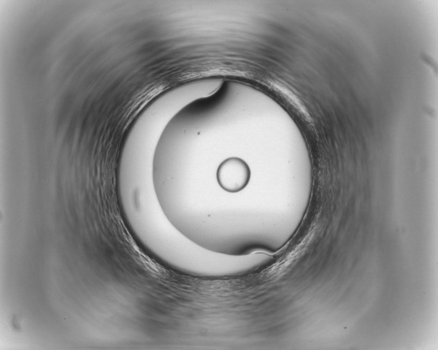 X0000094970793200712271741