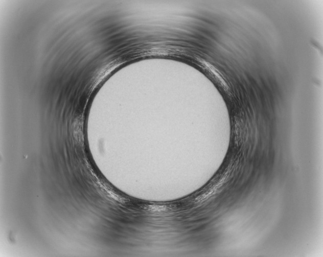 X0000094970794200712271741
