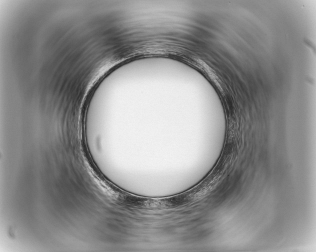 X0000094970795200712271741