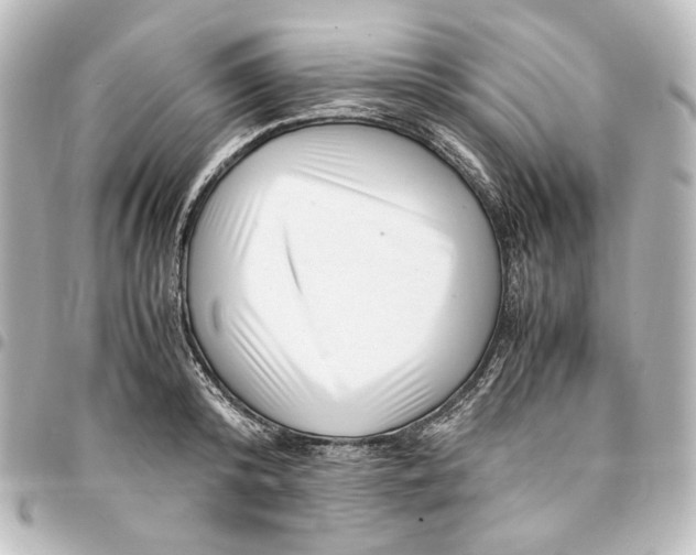 X0000094970800200712271741