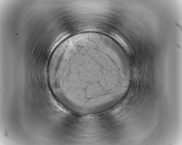 X0000094970806200712271741