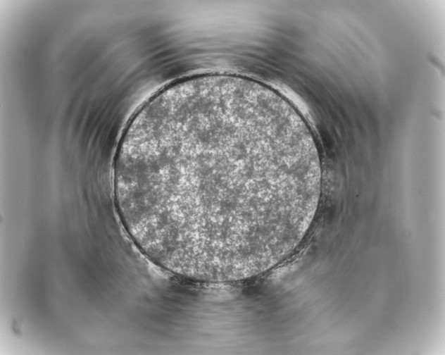 X0000094970807200712271741