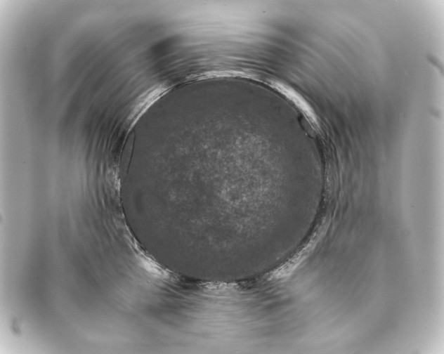 X0000094970809200712271741