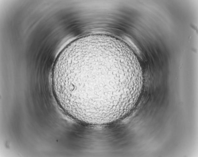 X0000094970814200712271741