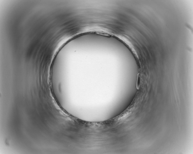 X0000094970815200712271741