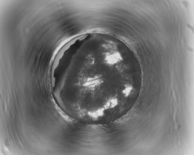 X0000094970816200712271741