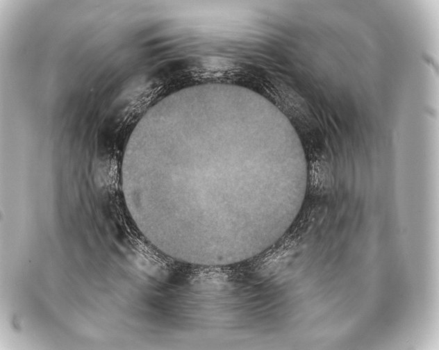 X0000094970820200712271741