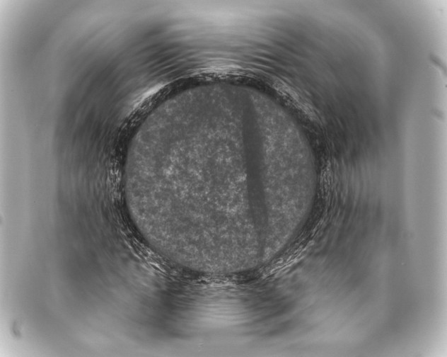 X0000094970822200712271741