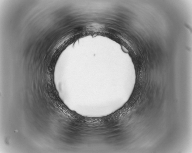 X0000094970823200712271741