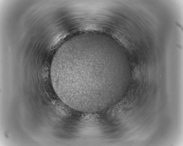 X0000094970824200712271741