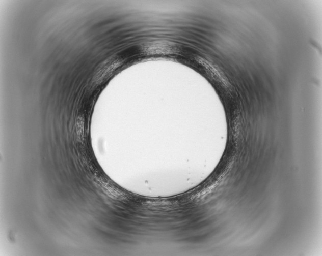 X0000094970825200712271741