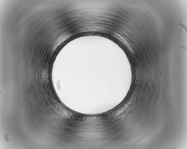 X0000094970826200712271741