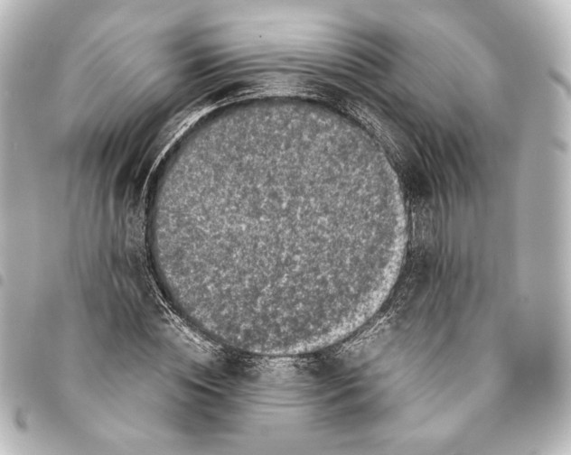 X0000094970828200712271741