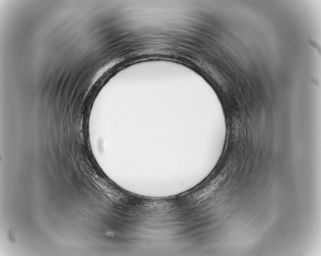 X0000094970830200712271741