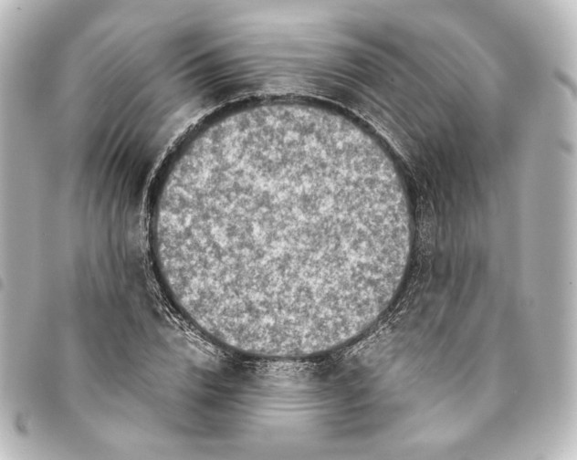 X0000094970832200712271741