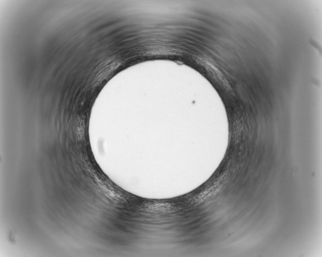 X0000094970833200712271741