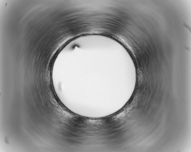 X0000094970835200712271741