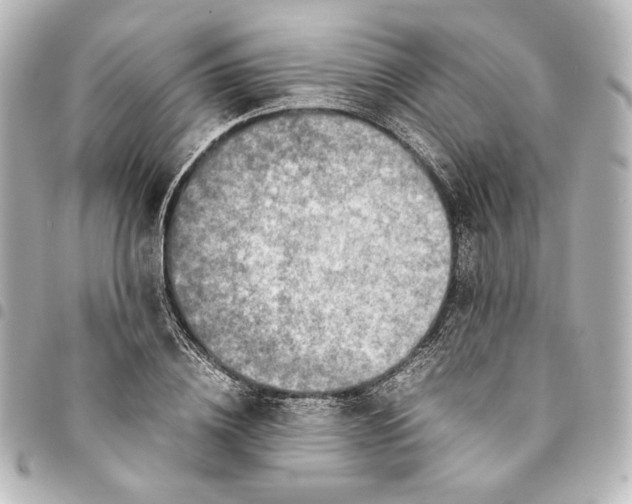 X0000094970836200712271741