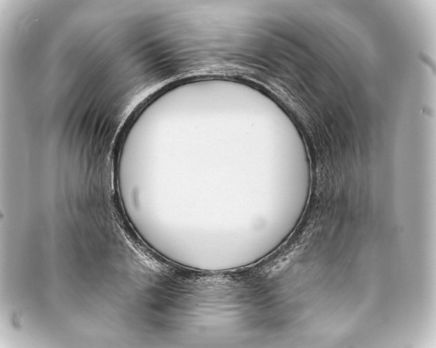 X0000094970838200712271741