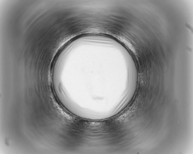 X0000094970839200712271741