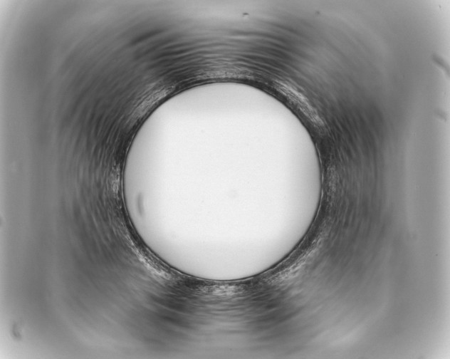 X0000094970841200712271741