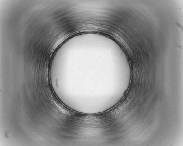 X0000094970842200712271741