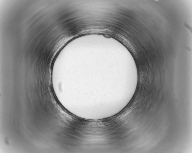 X0000094970844200712271741