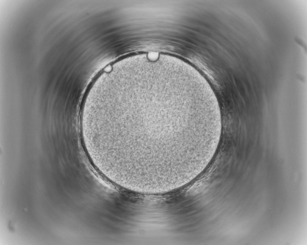 X0000094970848200712271741