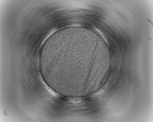 X0000094970851200712271741