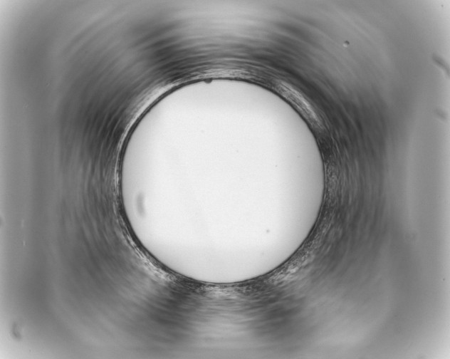 X0000094970852200712271741