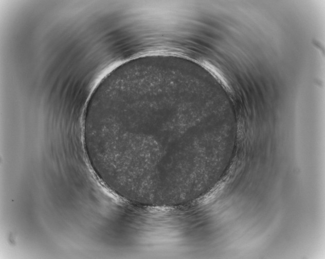 X0000094970854200712271741