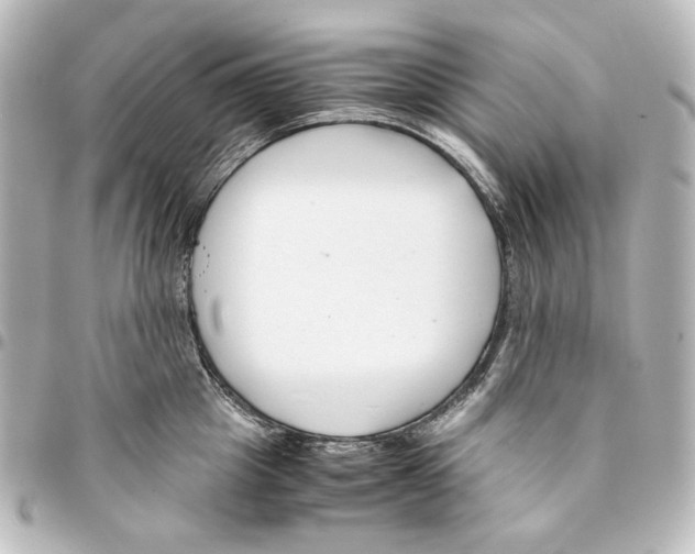 X0000094970857200712271741