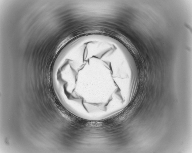 X0000094970858200712271741