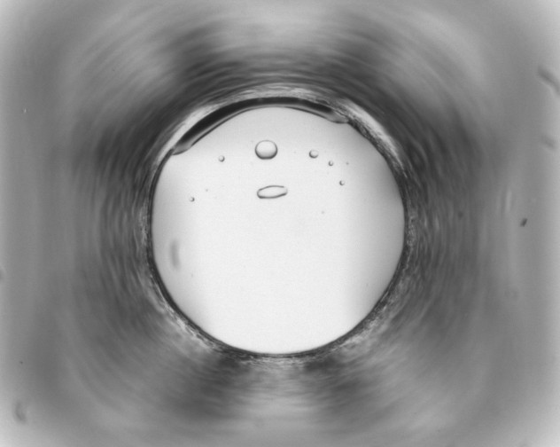 X0000094970860200712271741